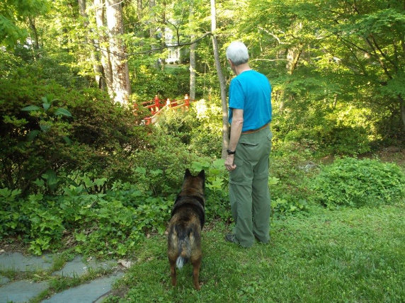 Dog and man